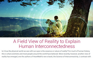 A Field View of Reality to Explain Human Interconnectedness