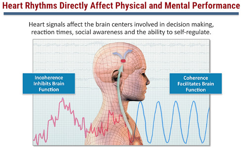 Heart Rhythms Directly Affect Physical and Mental Performance